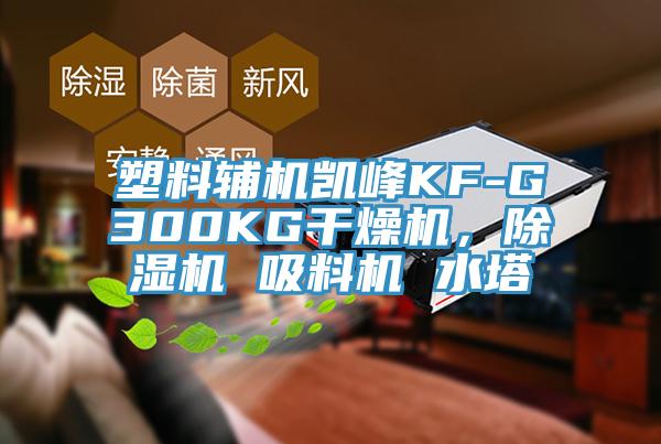 塑料輔機凱峰KF-G300KG干燥機，除濕機 吸料機 水塔