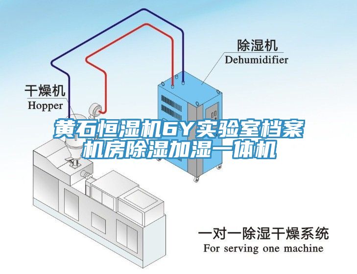 黃石恒濕機6Y實(shí)驗室檔案機房除濕加濕一體機