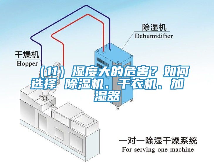 （11）濕度大的危害？如何選擇 除濕機、干衣機、加濕器