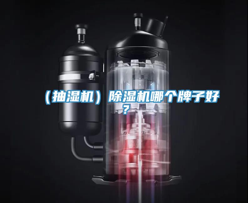 （抽濕機）除濕機哪個(gè)牌子好？